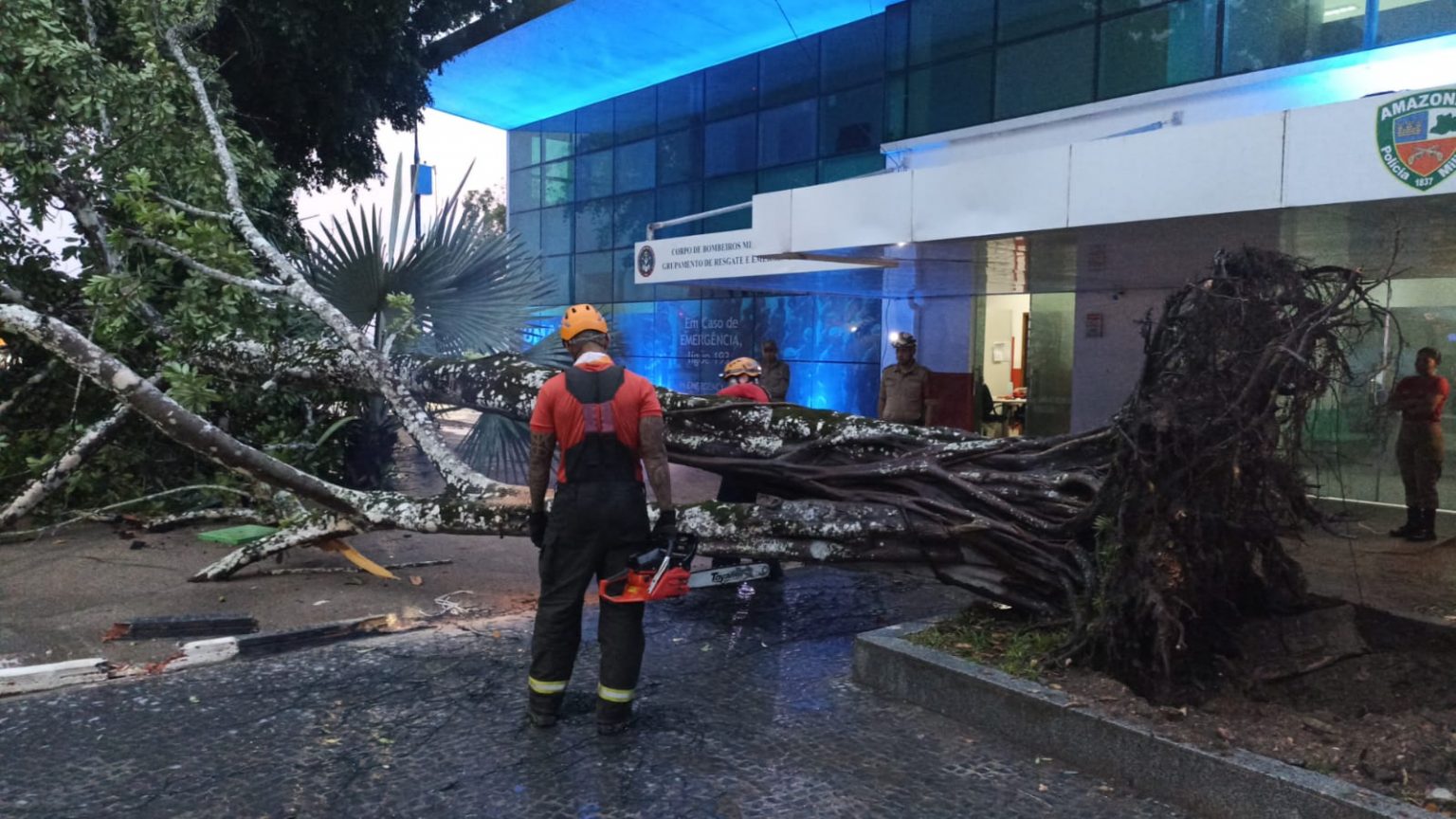 Forte chuva provoca queda de árvore de 12 metros na Ponta Negra em Manaus