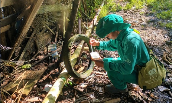 Amazonas tem mais de 2,5 mil casos confirmados de dengue