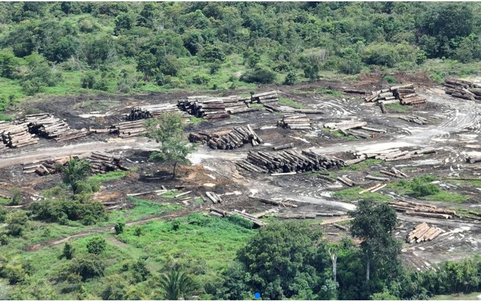 PF deflagra Operação Mamuru contra desmatamento ilegal no Amazonas