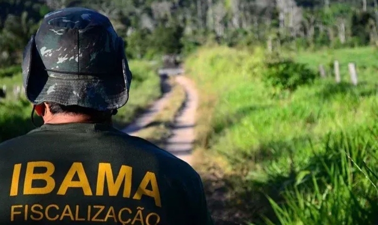 Com vagas para Manaus, Ibama abre inscrições para seleção de estagiários