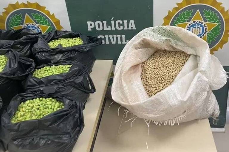 Homem é preso por pintar feijão de verde para enganar clientes em feiras