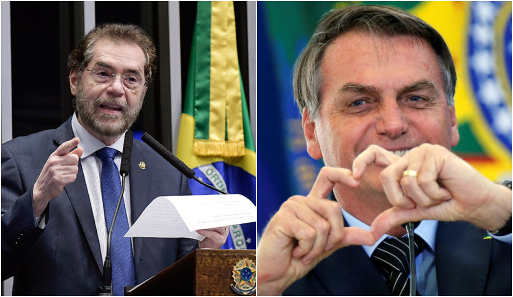 Contra ONGs que combatem desmatamento, Plínio Valério declara apoio a Bolsonaro