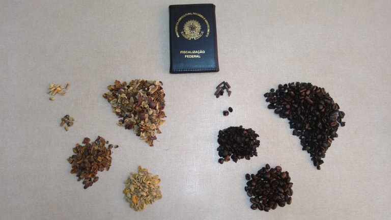 Governo manda recolher 8 lotes de café por fraude e impurezas; veja marcas