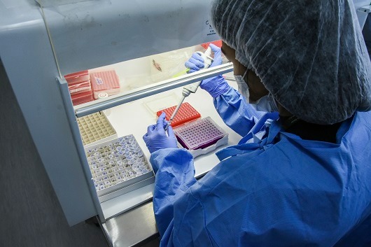 Fiocruz Amazônia faz sequenciamento do vírus causador da varíola dos macacos