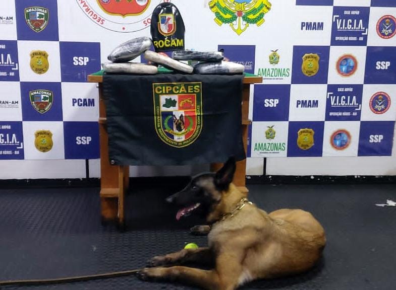 Cão policial encontra droga avaliada em R$ 80 mil dentro de lixeira em barco no Amazonas