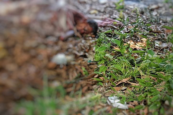Com dedo decepado, homem é encontrado morto em estacionamento no Centro de Manaus