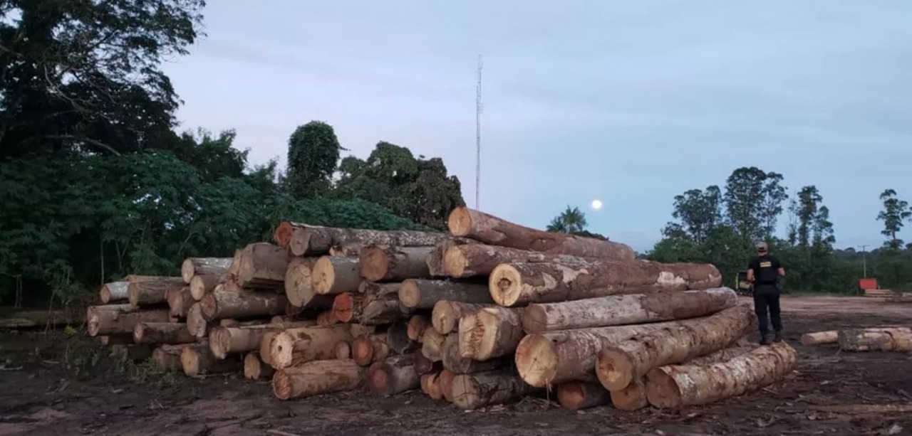 Setembro deste ano foi o pior mês em desmatamento para Amazônia desde 2015, aponta Inpe