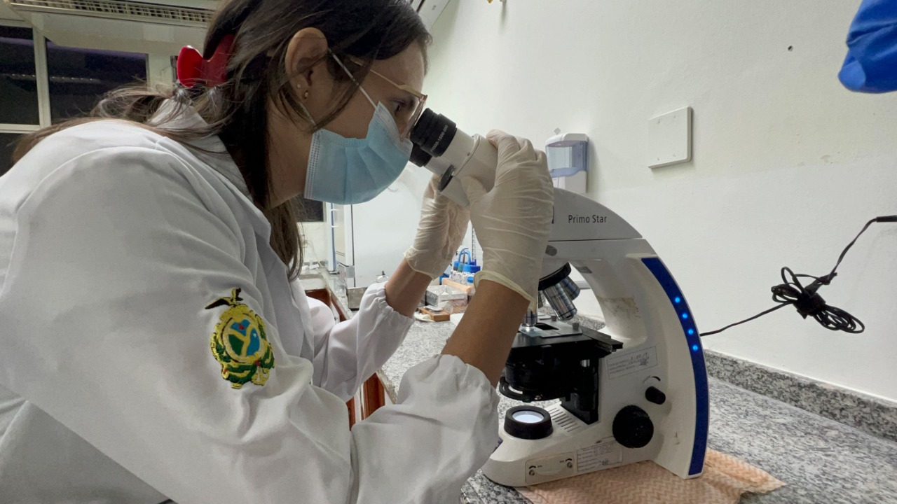 Amazonas registra mais de 200 casos de esporotricose; veja como se prevenir da doença