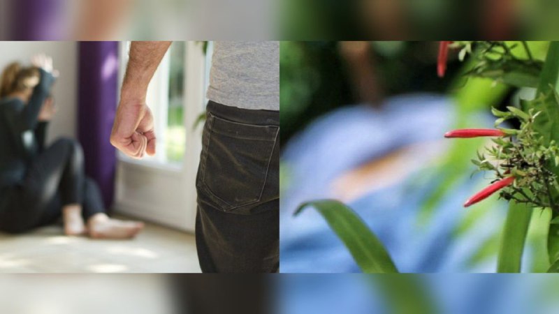 Suspeito de matar tio em Manaus tem histórico de violência contra a esposa