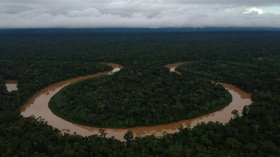 Ibama já aplicou multa de R$ 10 milhões por pesca de ilegal no Vale do Javari