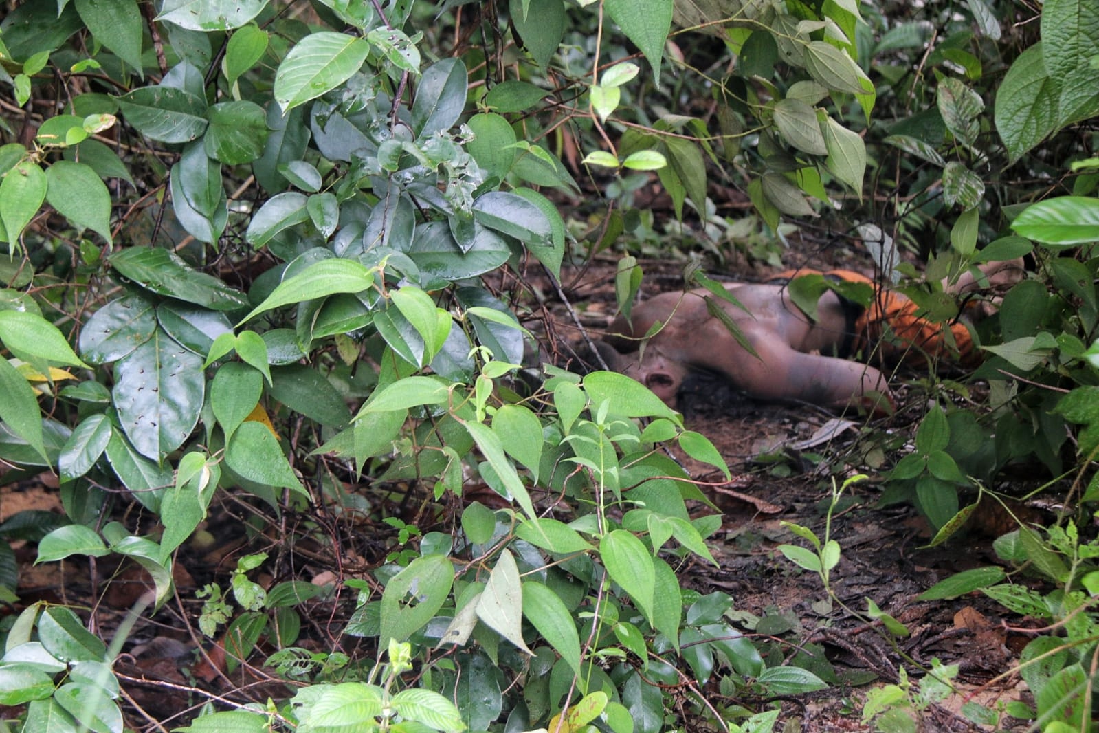 Morto em ramal foi sabatinado pelo Tribunal do Crime por suspeita de estupro em Manaus; vídeo