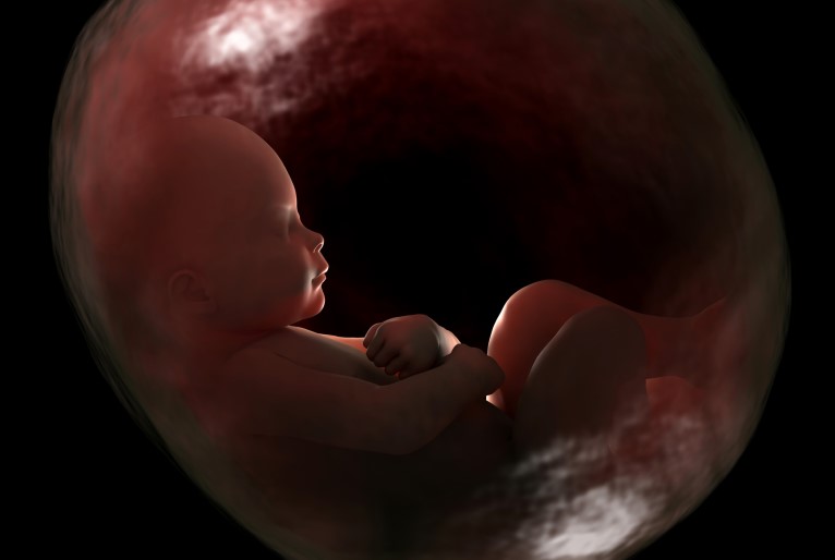 Estudo identifica pela 1ª vez infecção pulmonar causada pelo coronavírus em feto