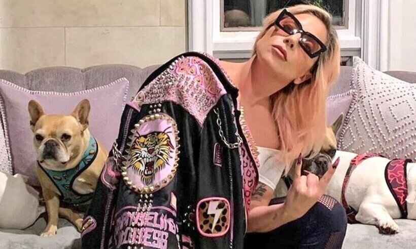 Suspeito de atirar no passeador dos cachorros de Lady Gaga é libertado após erro nos EUA