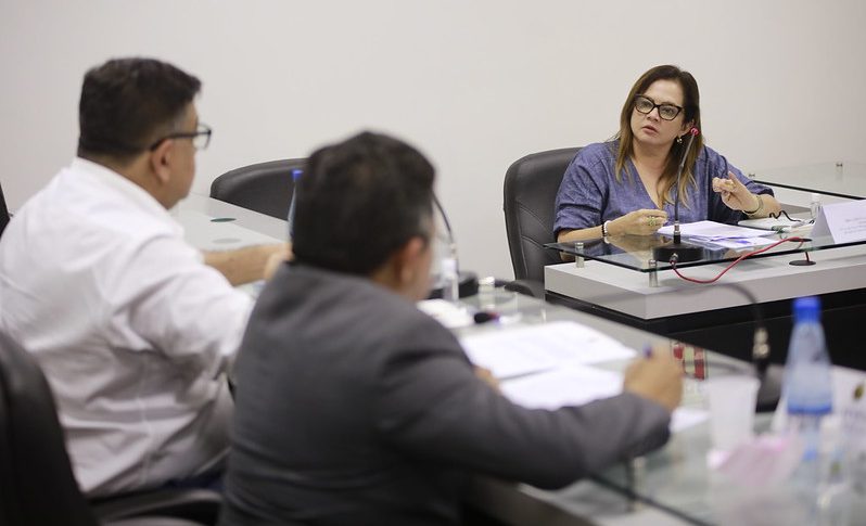 CPI da Energia recebe depoimento de promotora do Ministério Público do Amazonas
