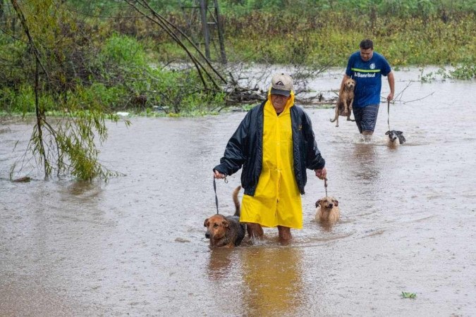 Nilton Lins lança campanha para ajudar animais afetados pela enchente no Sul