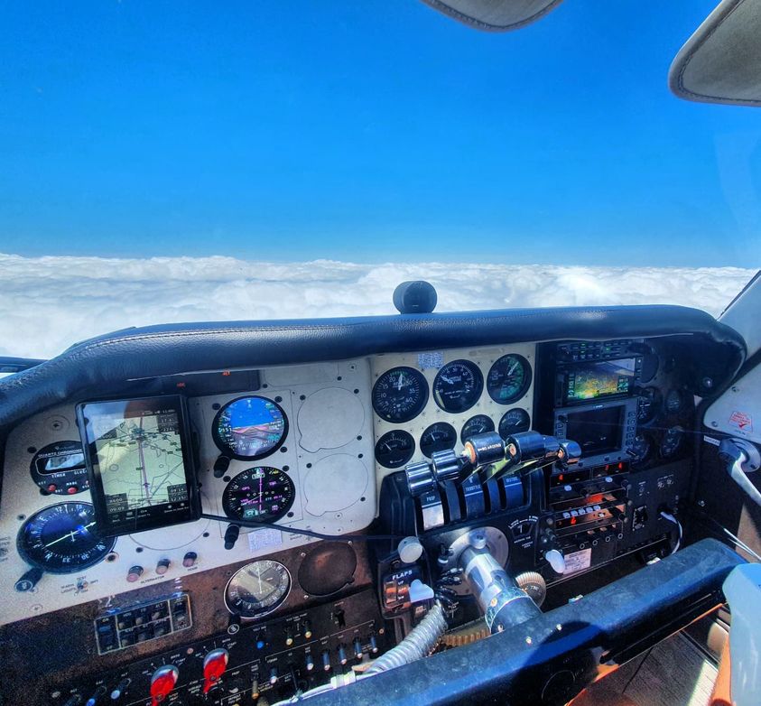 Piloto faz pouso de emergência ao perceber cobra venenosa nas costas 