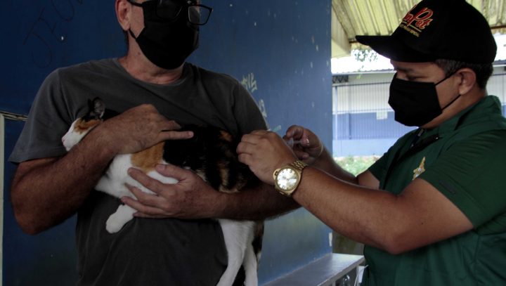 Inscrições para contratação de vacinadores e registradores em Manaus estão abertas; confira