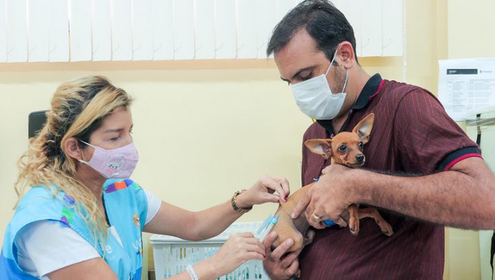 Confira cronograma semanal da vacinação antirrábica de cães e gatos em Manaus