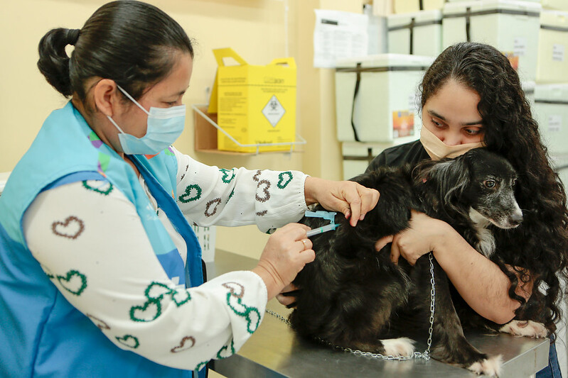 Vacinação antirrábica de cães e gatos em domicílio é iniciada na zona Leste de Manaus