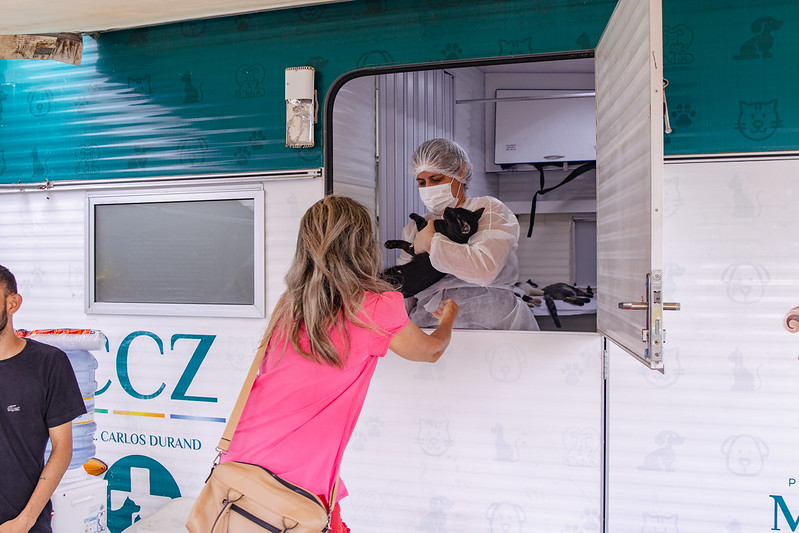 Manaus realiza castração de mais de 200 gatos para reforçar combate à esporotricose