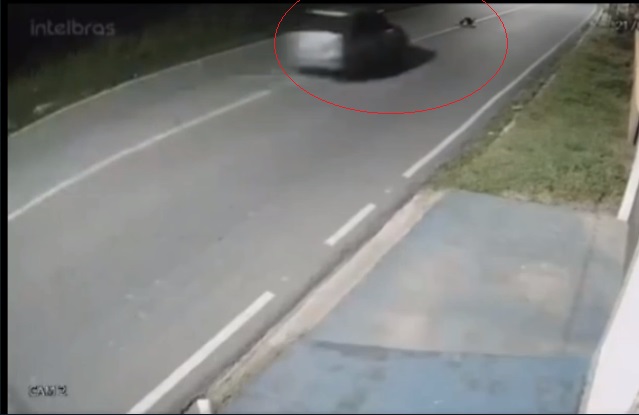 Homem é esmagado ao se deitar no meio de estrada no Amazonas