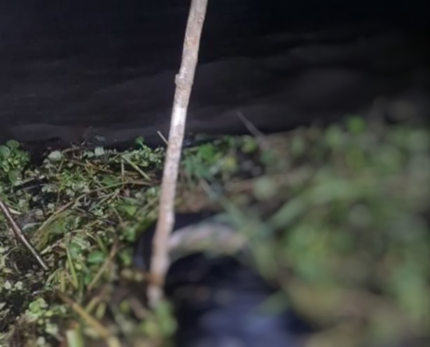 Com cabeça devorada por peixes, homem é achado boiando em rio de Coari