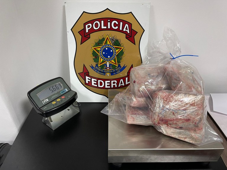 PF prende mulher que saiu de Manaus com maconha escondida em peixes