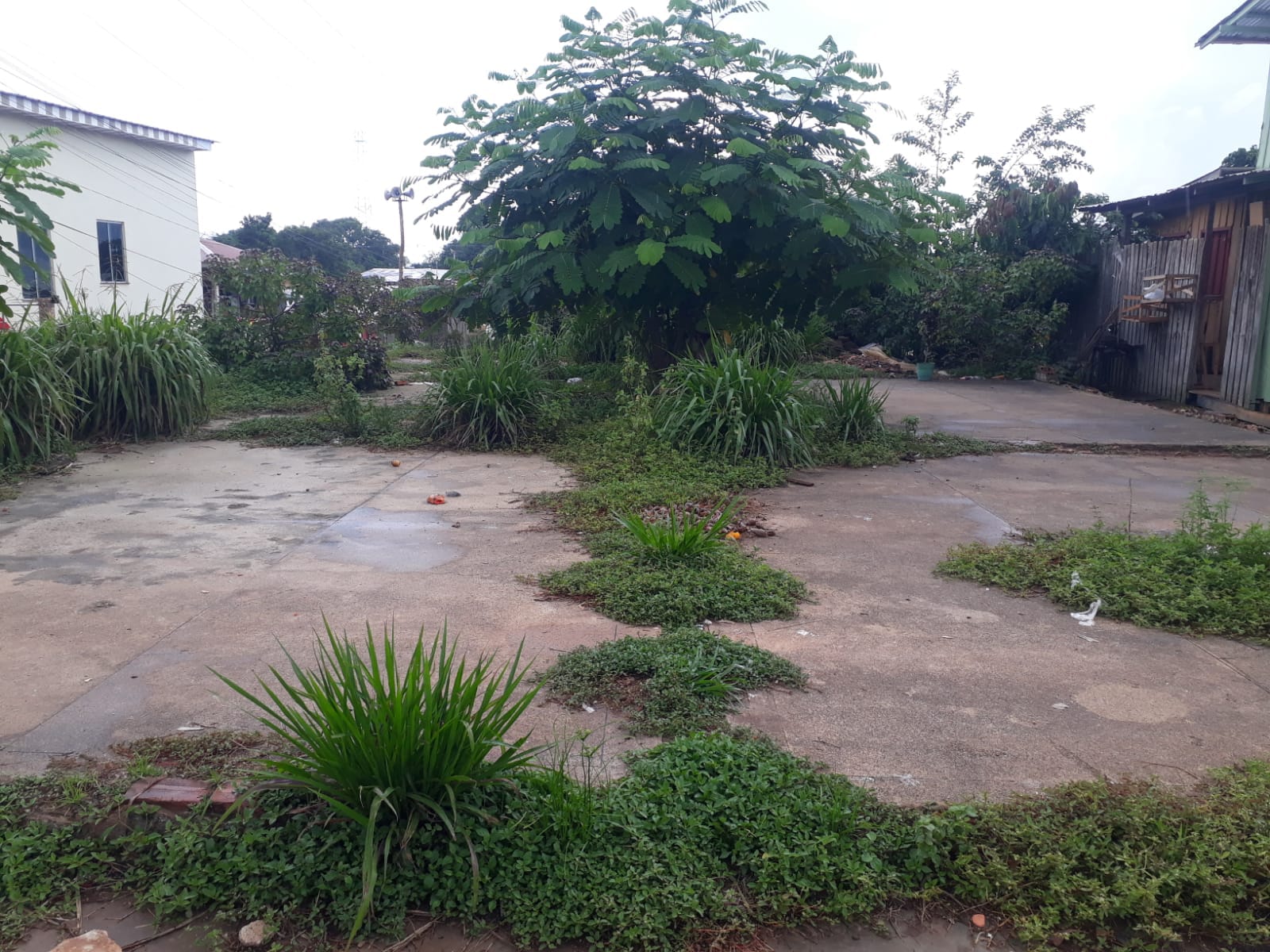 Feirantes reivindicam construção de feira em Beruri, no Amazonas