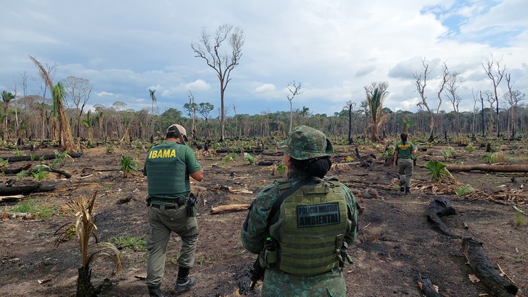 Ibama encontra 500 hectares de desmatamento ilegal em municípios do Amazonas