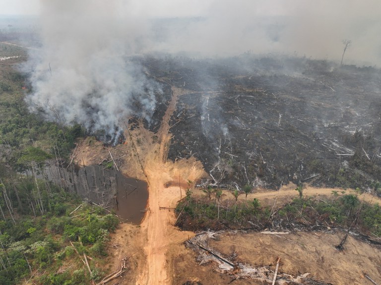 PF apreende retroescavadeiras e itens usados em desmatamento no Amazonas