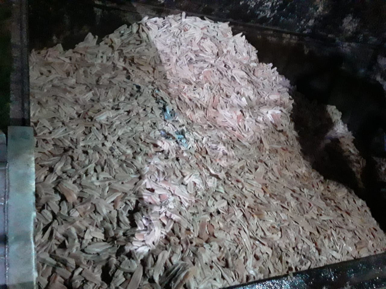 Toneladas de pescado são apreendidas por apresentarem risco à saúde no Amazonas