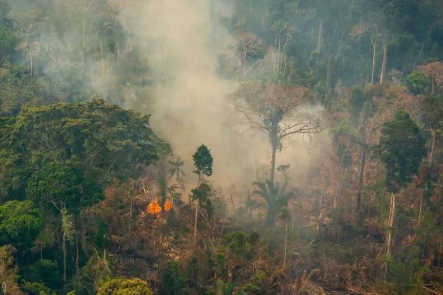 Brasil tem redução histórica de desmatamento nos últimos 5 anos 