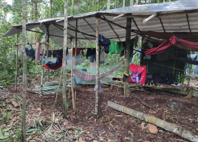 Quatro empregadores entram na 'lista suja' de trabalho escravo no Amazonas 