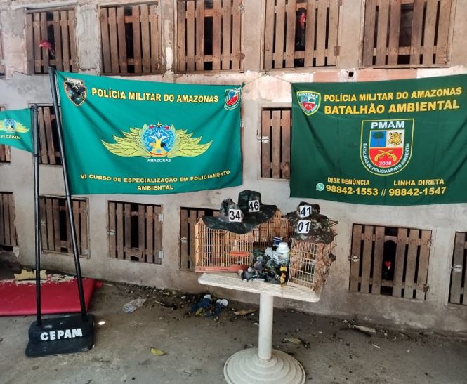 Homens são presos e 92 animais usados em rinhas são resgatados em Manaus