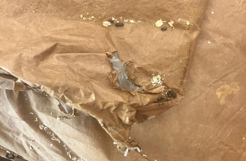 Mais de 7 toneladas de alimentos vencidos e contaminados são apreendidos no Centro de Manaus