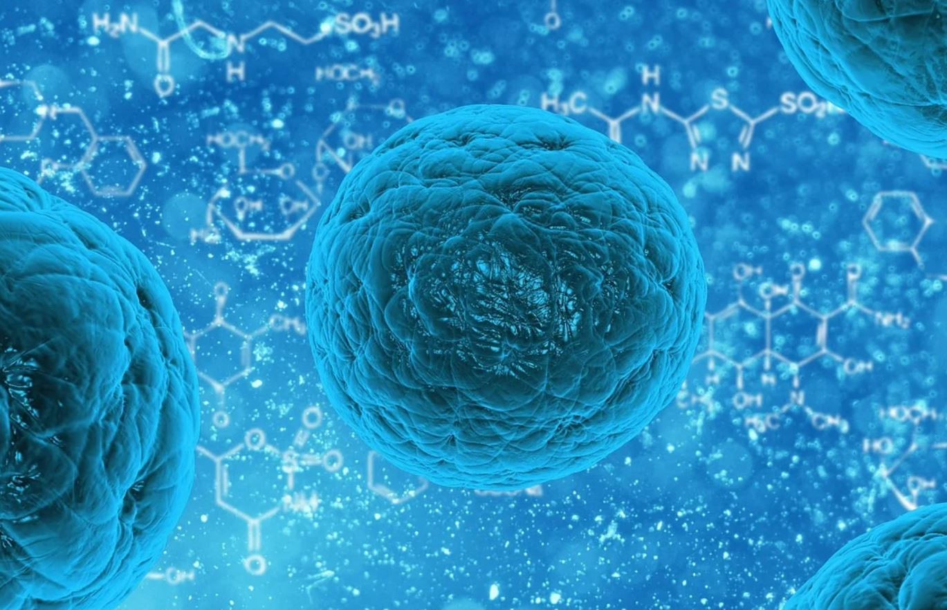 Mais de 130 casos de 'Flurona' são registrados em sete estados do Brasil