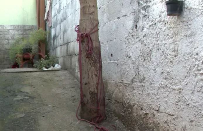 Homem agride pais a pauladas e é amarrado em árvore até a chegada da polícia