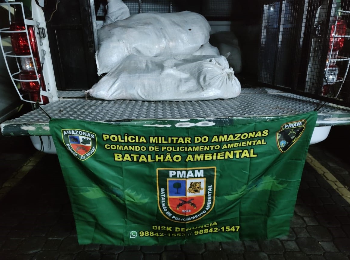 Pescado ilegal avaliado em R$ 15 mil é apreendido em Manaus