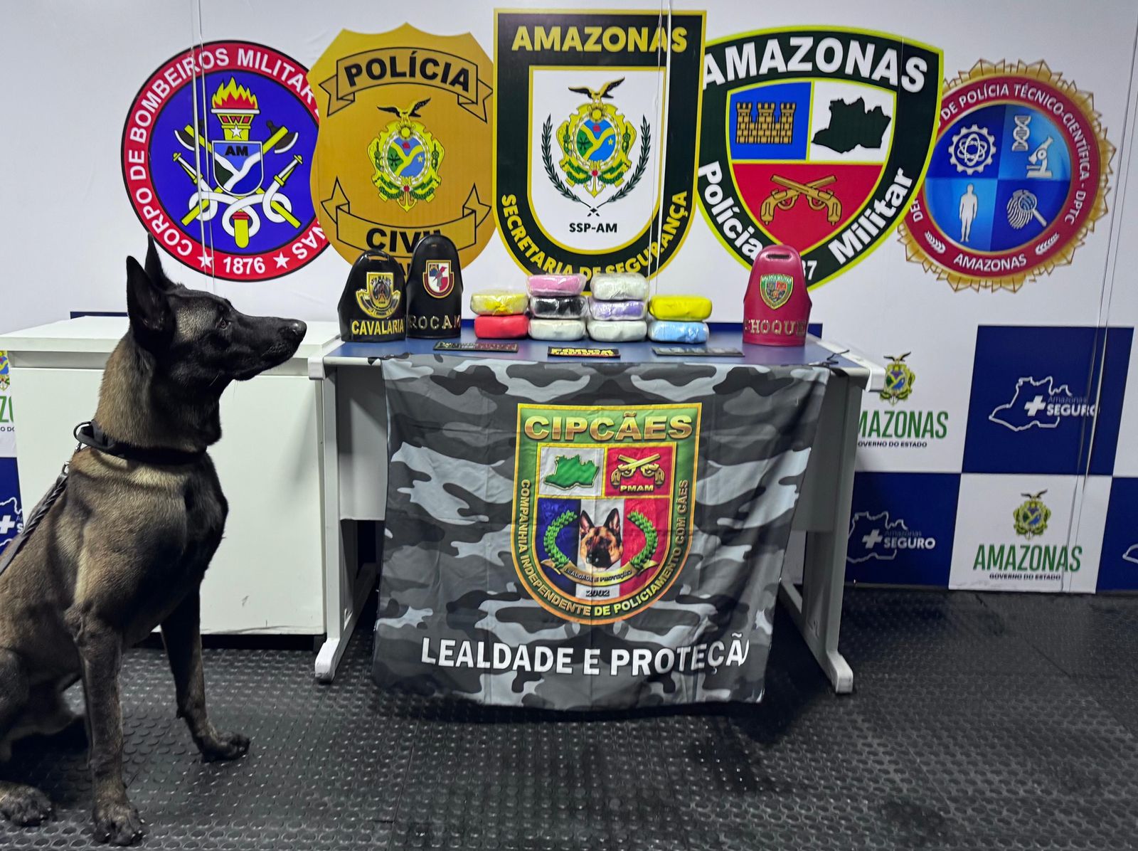 Polícia apreende drogas avaliadas em R$ 745 mil com apoio de cão farejador em Coari