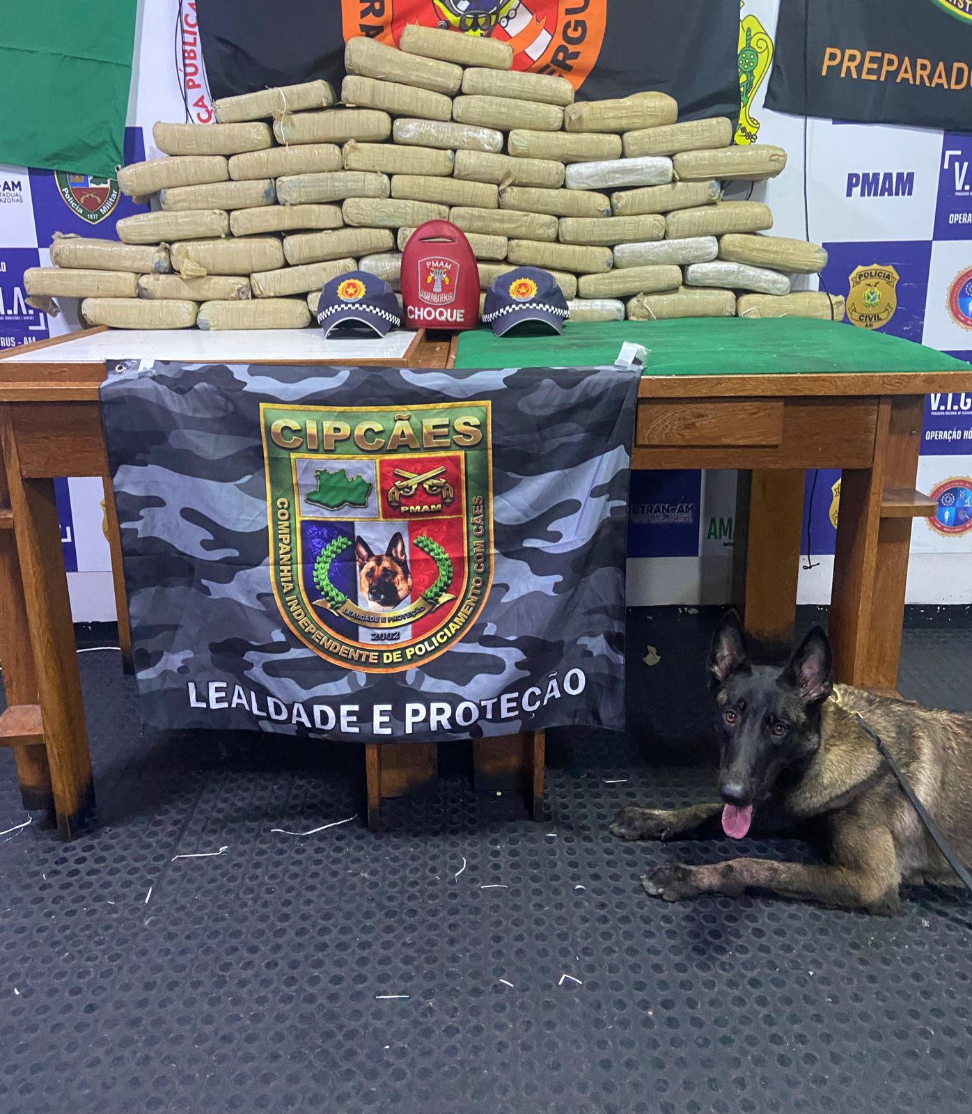 Fardos com drogas avaliadas em R$ 1 milhão são encontrados no porão de barco em Coari