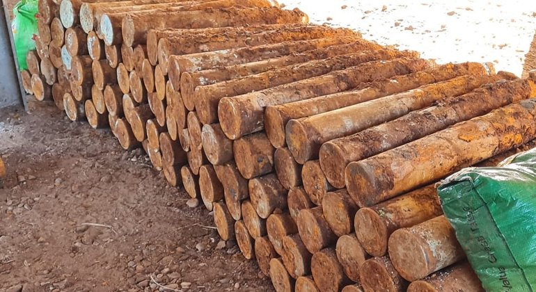 Ao cavar fossa, morador encontra 101 bombas da Segunda Guerra Mundial