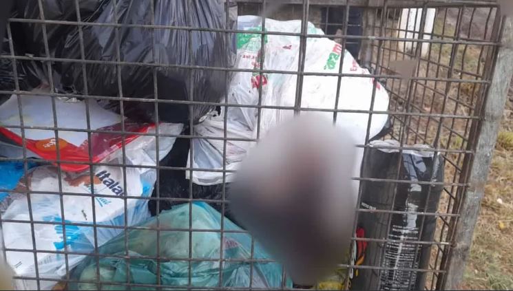 Recém-nascido é encontrado em lixeira após urubus tentarem devorá-lo