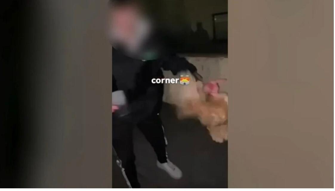 Adolescentes são procurados pela polícia após usarem galinha como bola de futebol