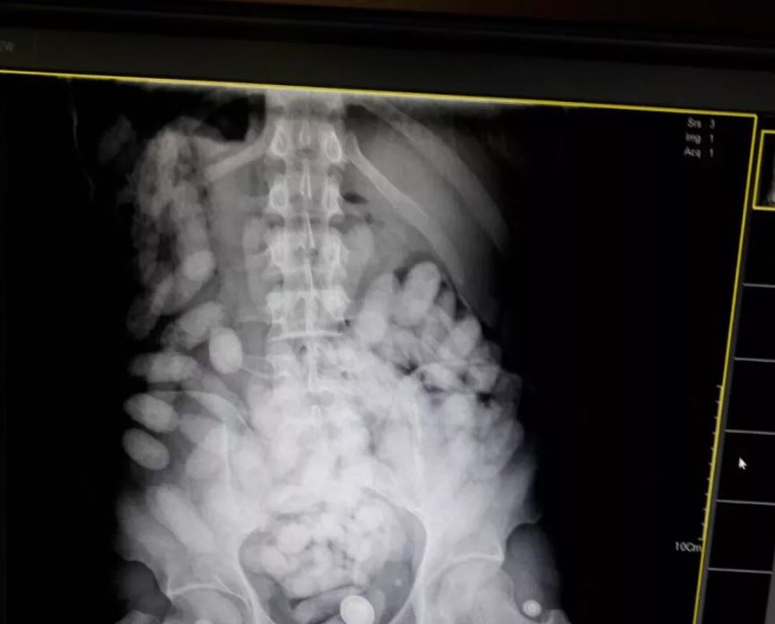 Suspeitos de recrutar "mulas" para levar drogas dentro do corpo são presos em Manaus