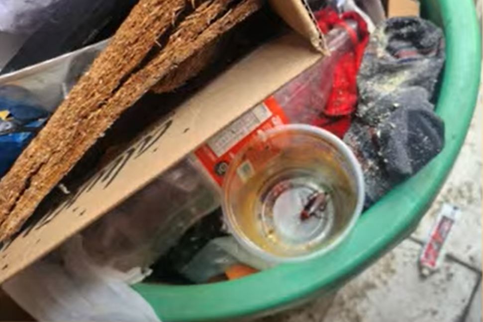 Irmãos de 7 e 10 anos são resgatados após serem abandonados pela mãe em Manaus