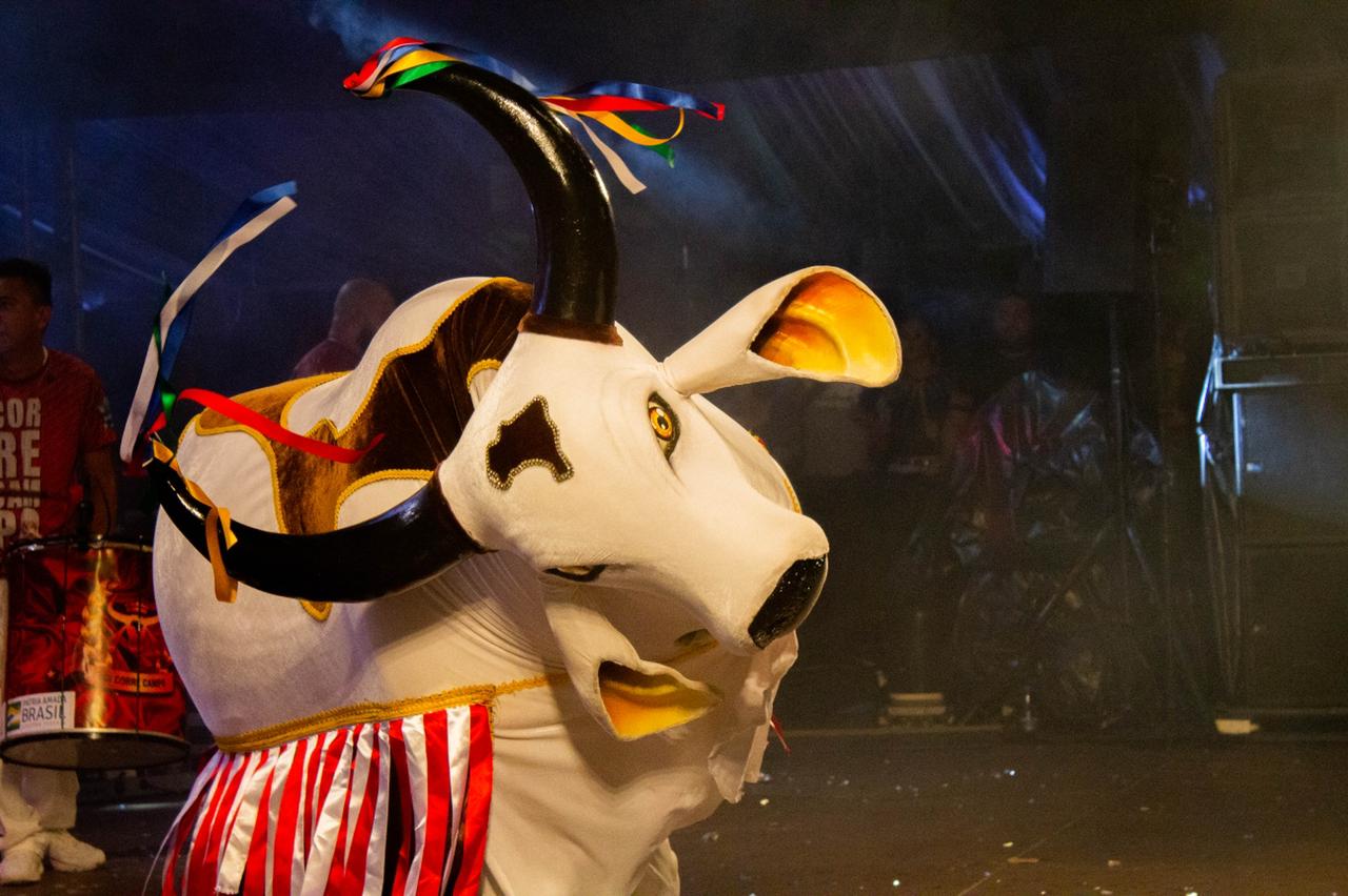 Boi Corre Campo recebe bênçãos de Santo Antônio neste sábado em Manaus