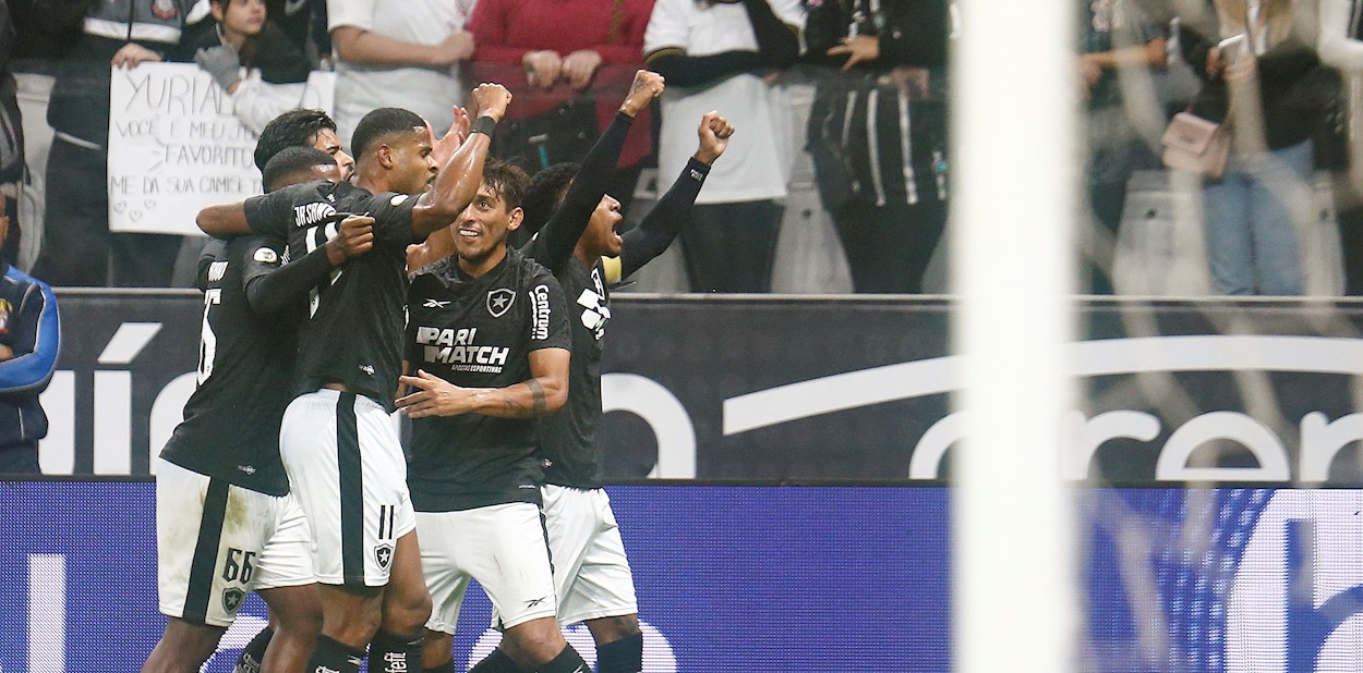 Botafogo vence o Fluminense e fica na liderança provisória 