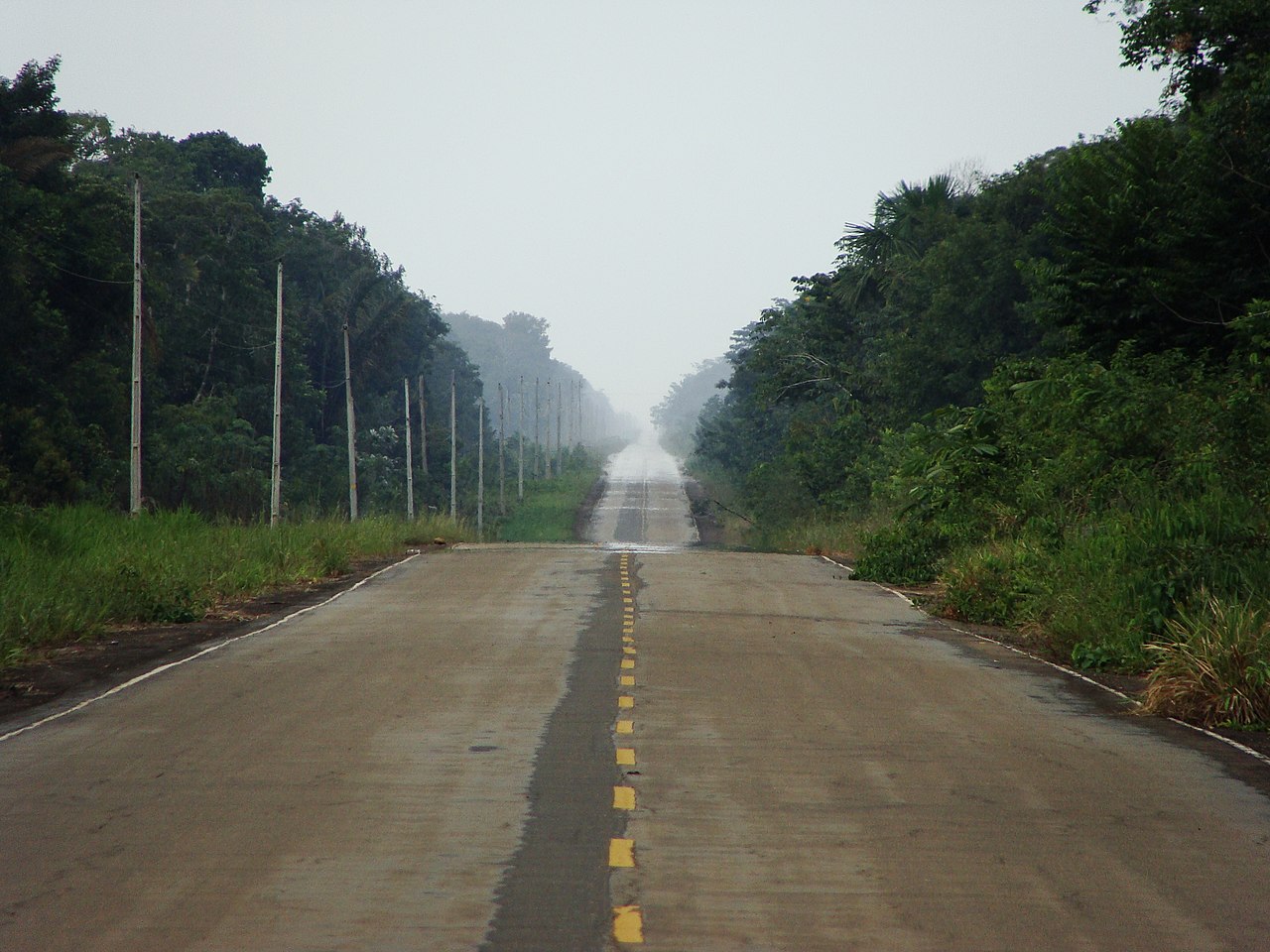 Motorista morre e 5 pessoas ficam feridas após carro bater de frente com caminhão na BR-319