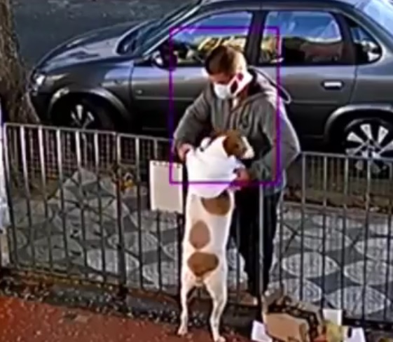 Vídeo mostra cachorro tendo roupa furtada por homem no portão de casa