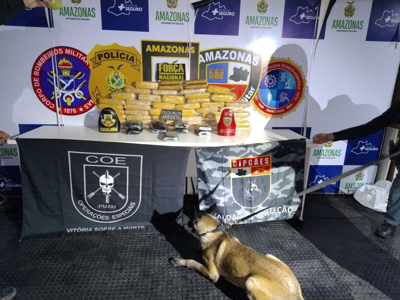 Cadela policial encontra drogas em embarcação que transportava veículos em Coari